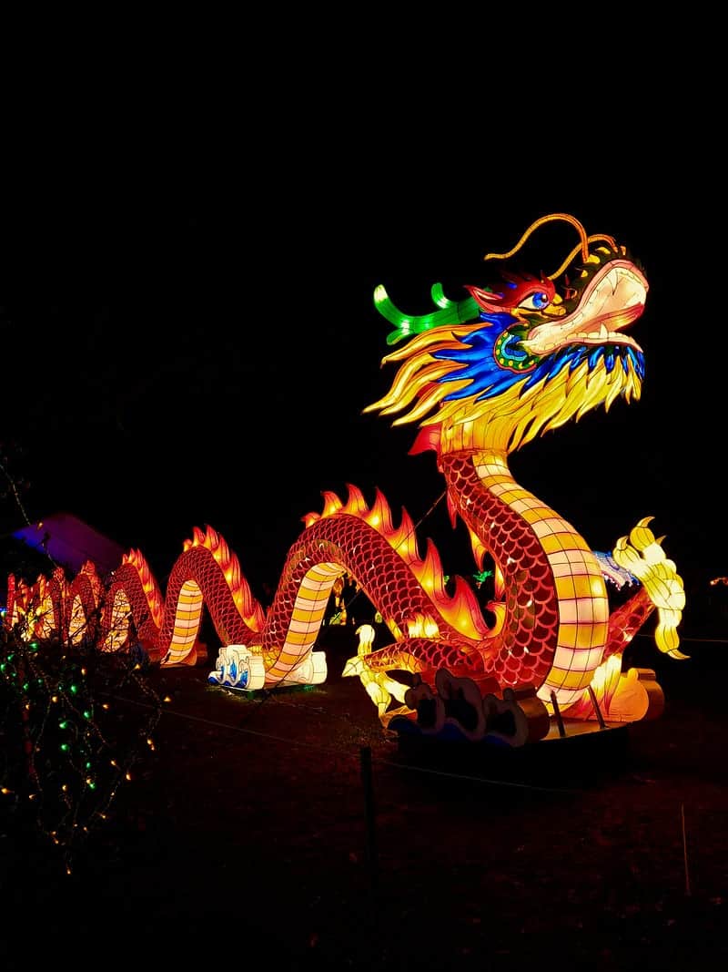 阿隆指標