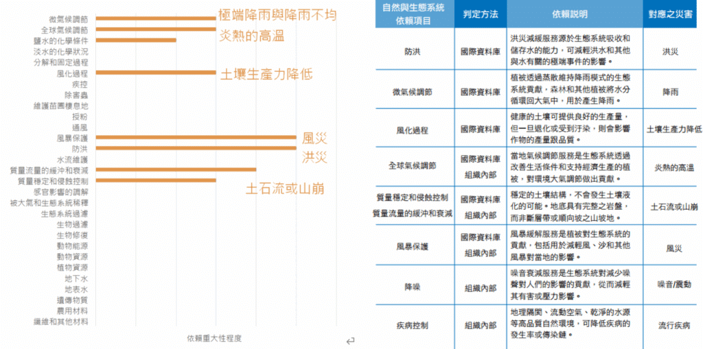 台灣大依賴類型彙總表