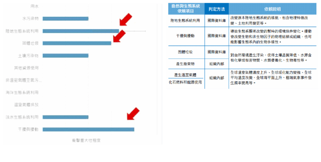 台灣大影響重大性程度